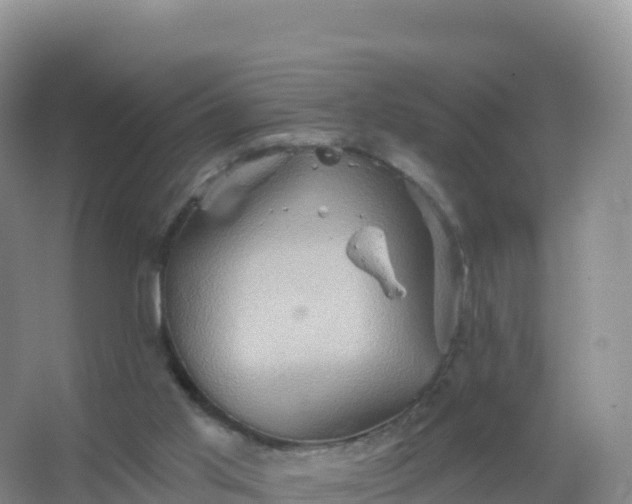 X0000067470013200604150002