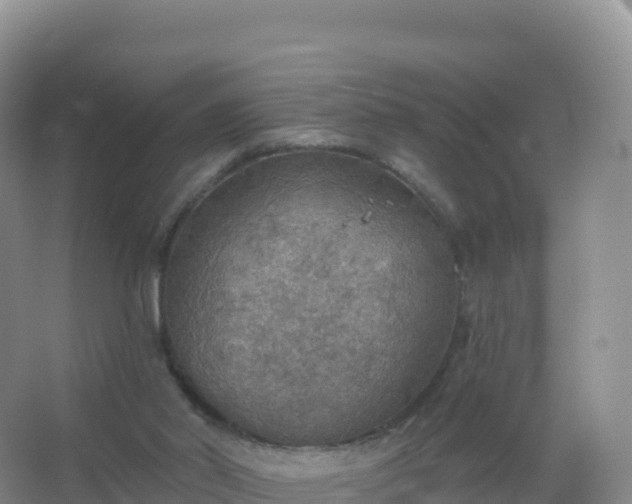 X0000067470014200604150002