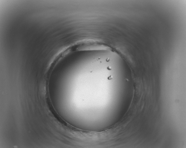 X0000067470015200604150002