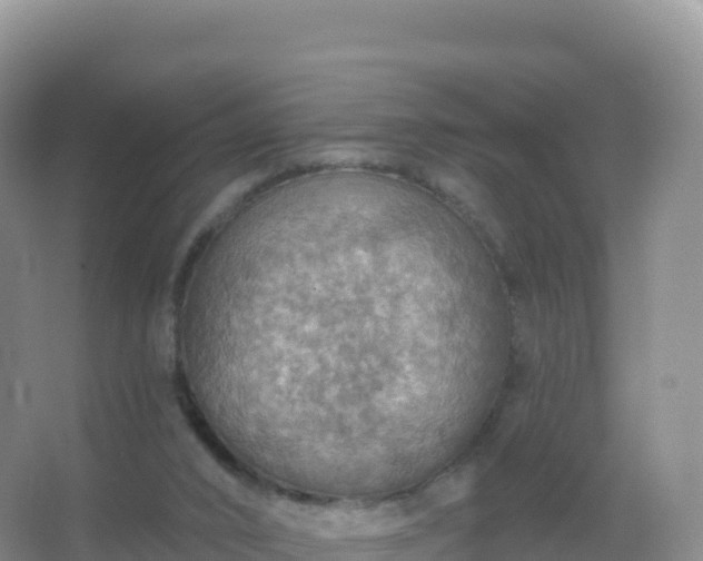 X0000067470016200604150002