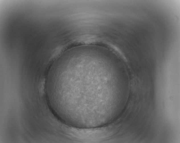 X0000067470018200604150002