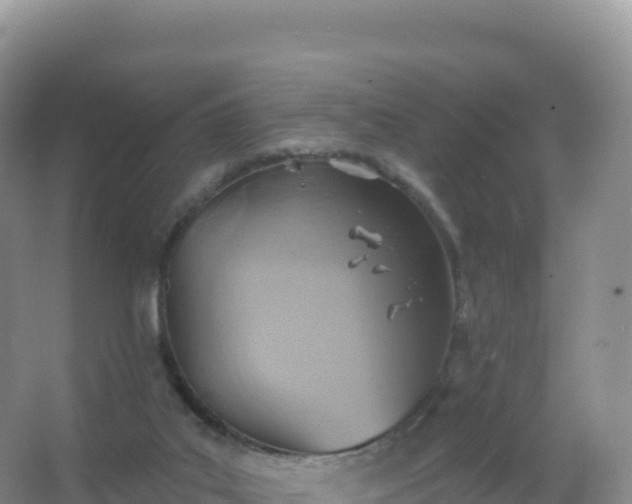 X0000067470019200604150002