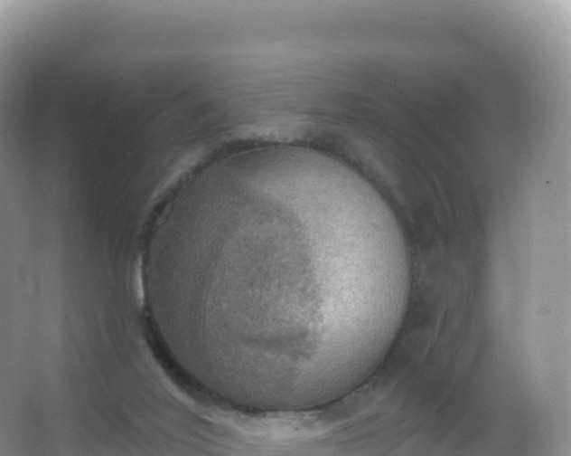 X0000067470020200604150002