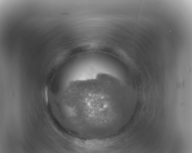 X0000067470022200604150002