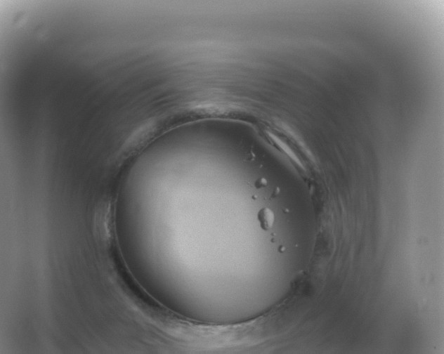 X0000067470023200604150002