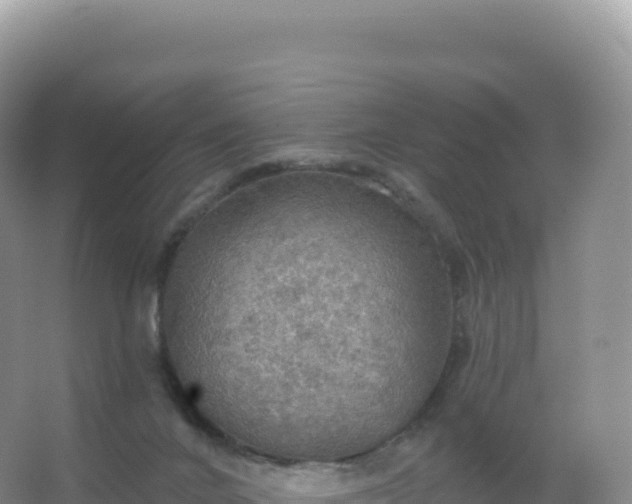 X0000067470024200604150002