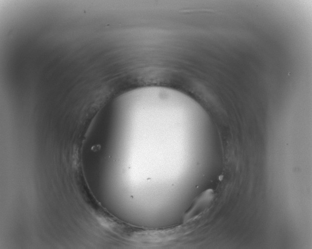 X0000067470025200604150002