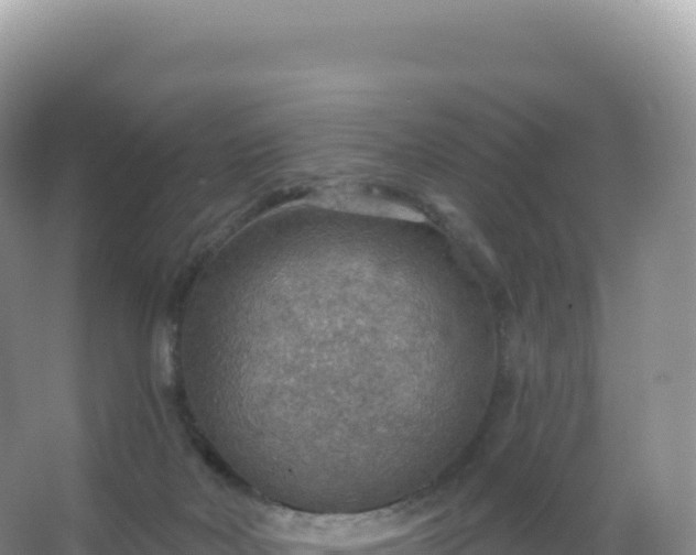 X0000067470026200604150002