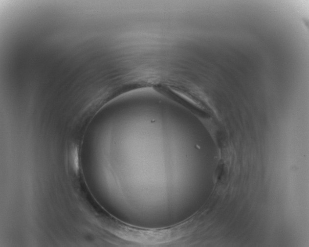 X0000067470027200604150002