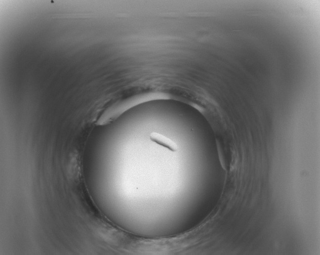 X0000067470029200604150002