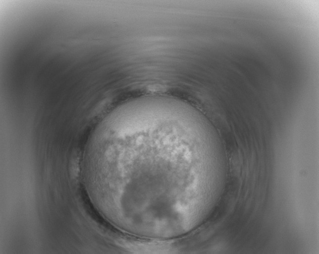 X0000067470032200604150002