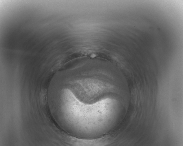 X0000067470034200604150002