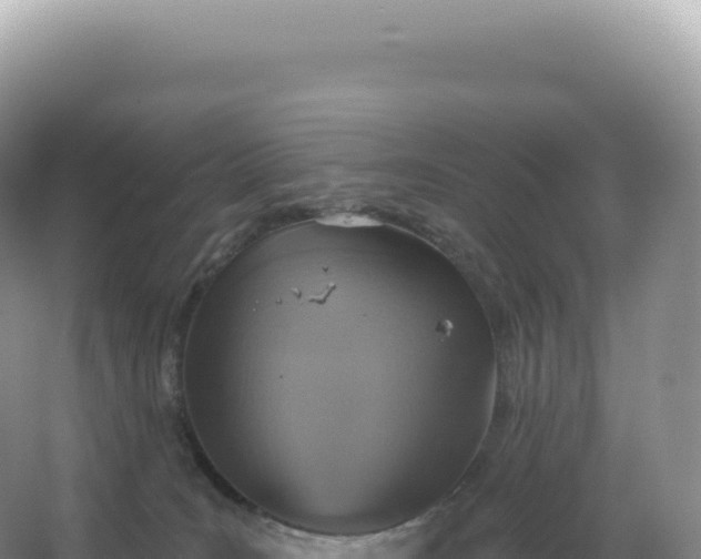 X0000067470035200604150002