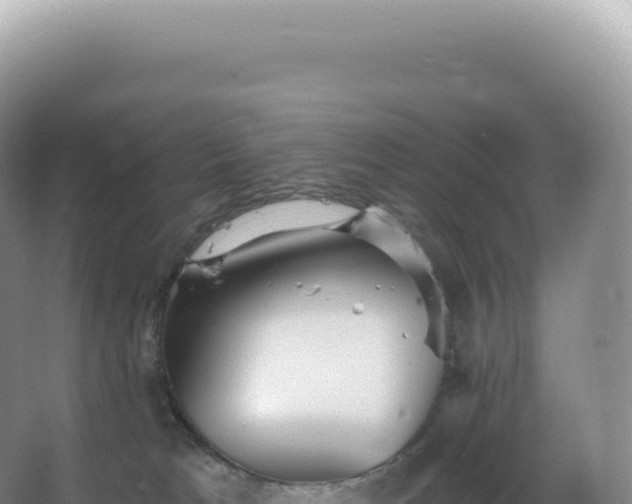 X0000067470037200604150002