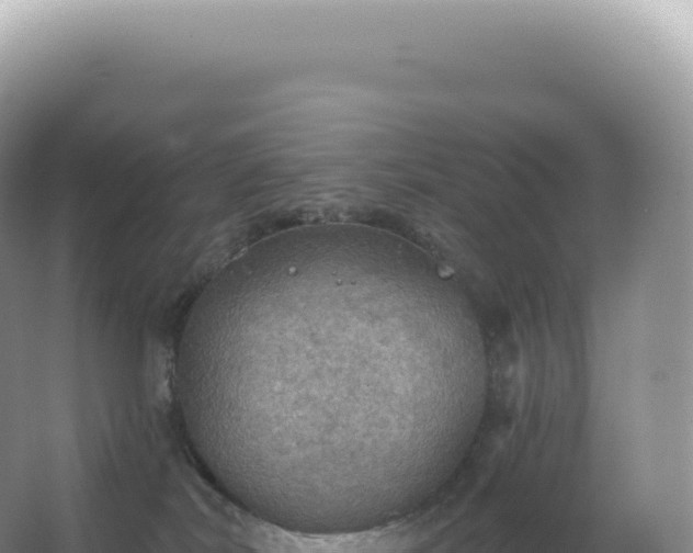 X0000067470038200604150002