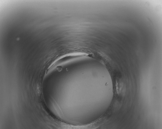 X0000067470039200604150002