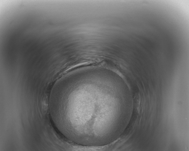 X0000067470040200604150002