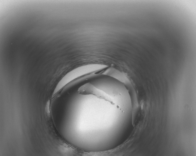 X0000067470041200604150001