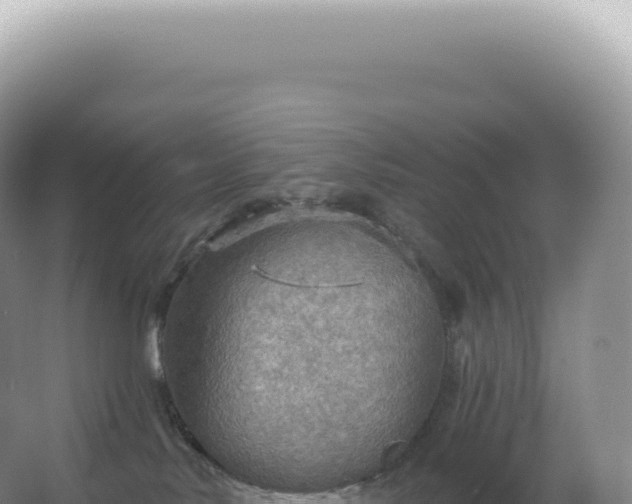 X0000067470042200604150001