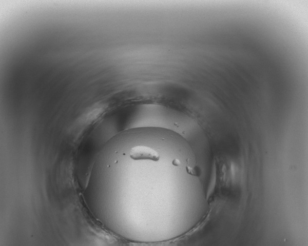 X0000067470045200604150001