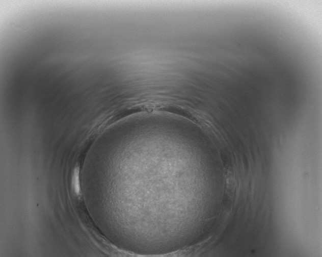 X0000067470046200604150001