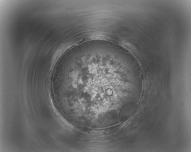 X0000067470049200604150001