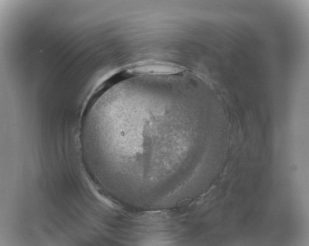 X0000067470050200604150001