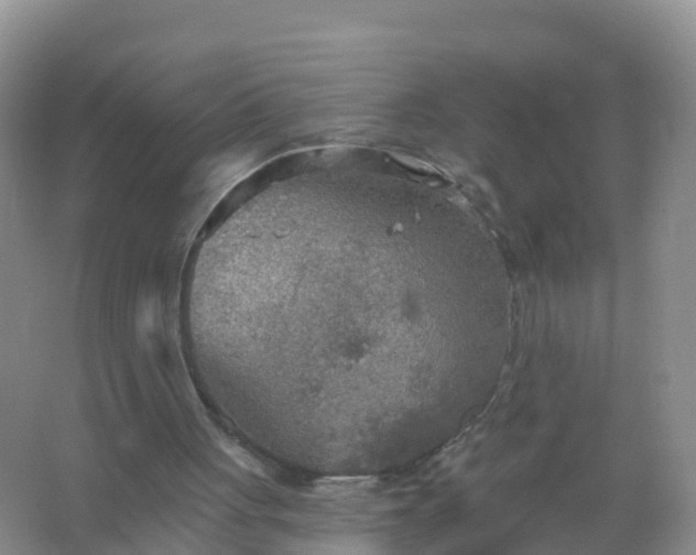 X0000067470051200604150001