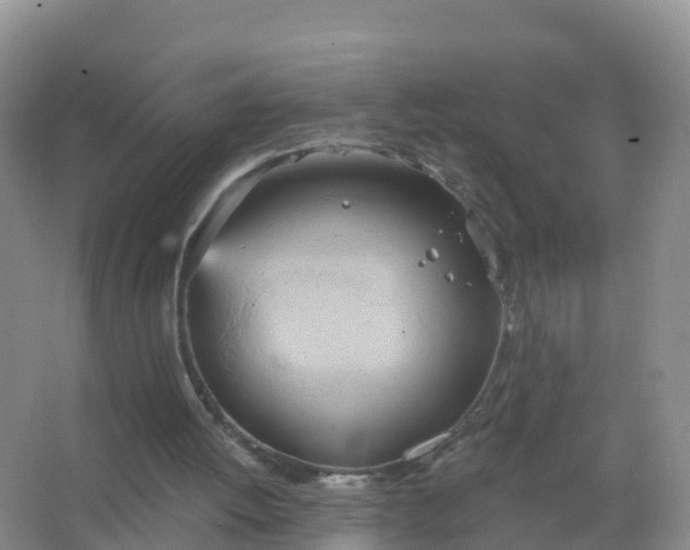 X0000067470052200604150001