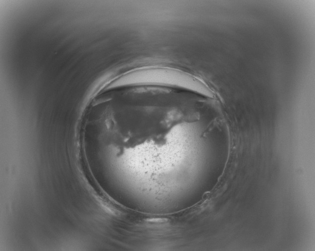 X0000067470053200604150001