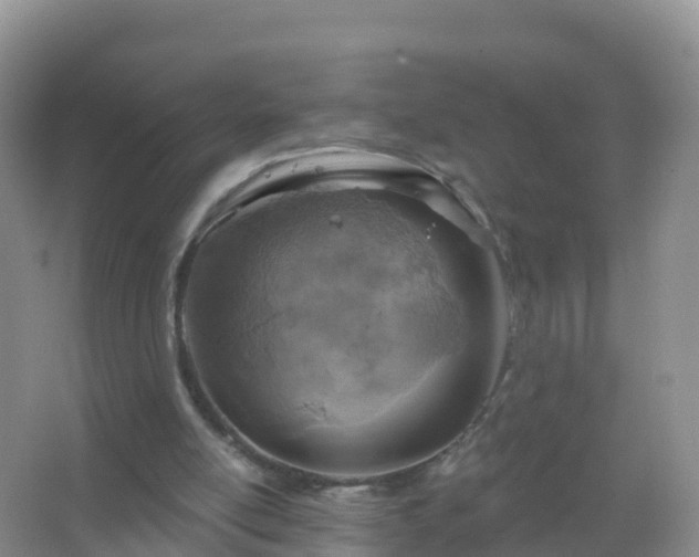 X0000067470054200604150001