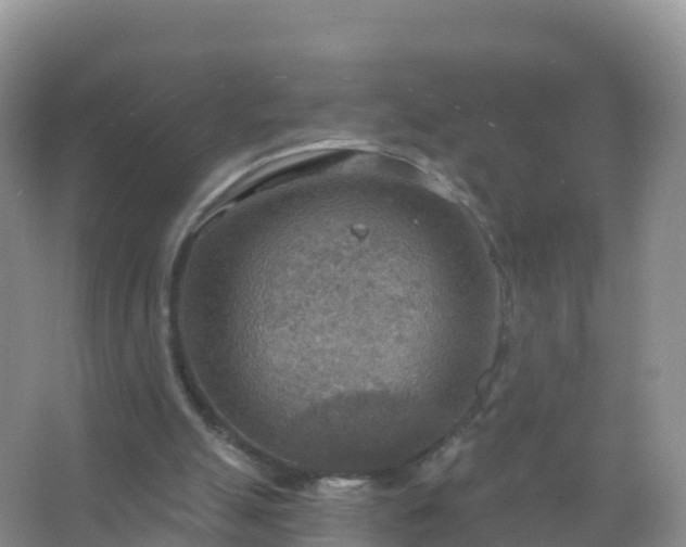 X0000067470055200604150001