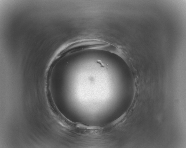 X0000067470056200604150001