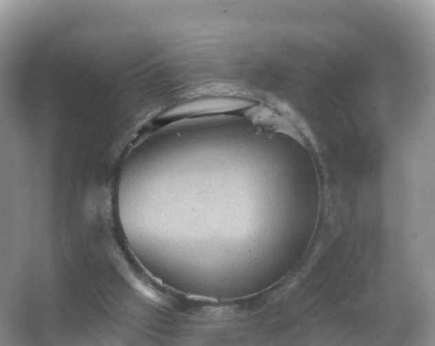 X0000067470057200604150001