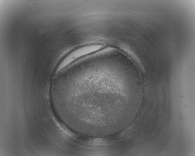 X0000067470058200604150001