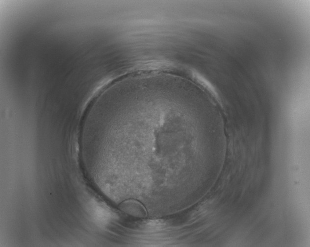 X0000067470059200604150001