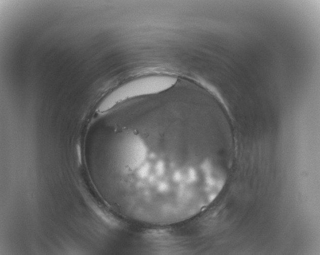 X0000067470061200604150001