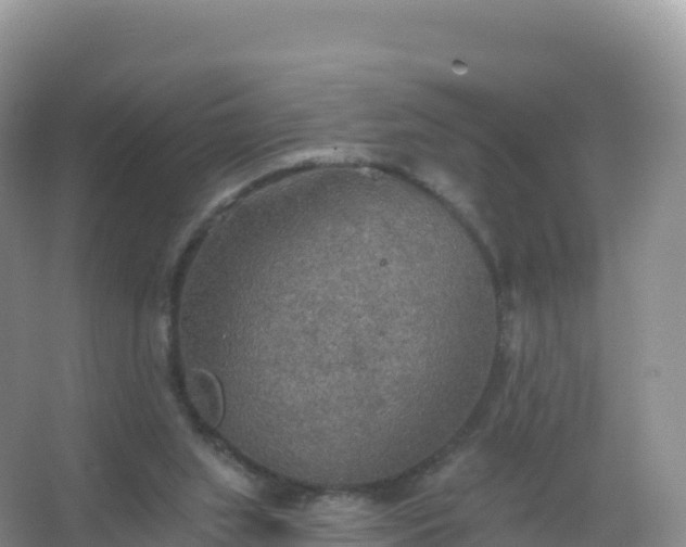 X0000067470063200604150001