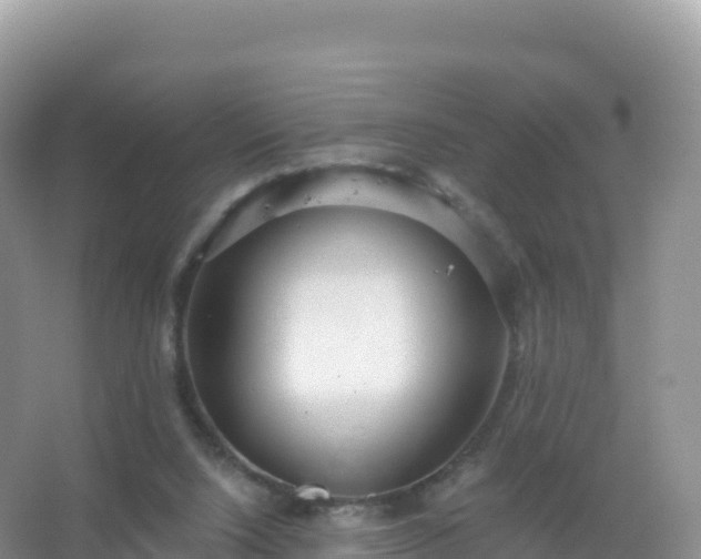 X0000067470064200604150001