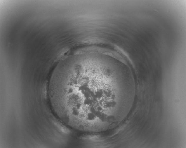 X0000067470065200604150001