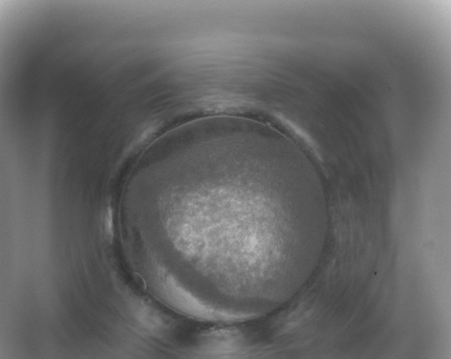 X0000067470067200604150001