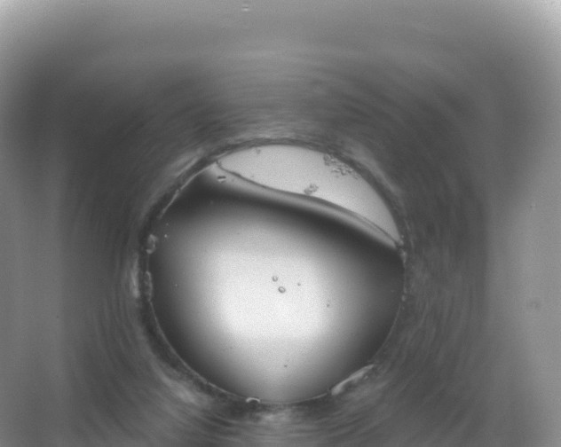 X0000067470068200604150001