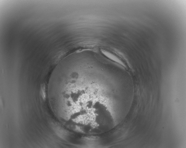 X0000067470069200604150001