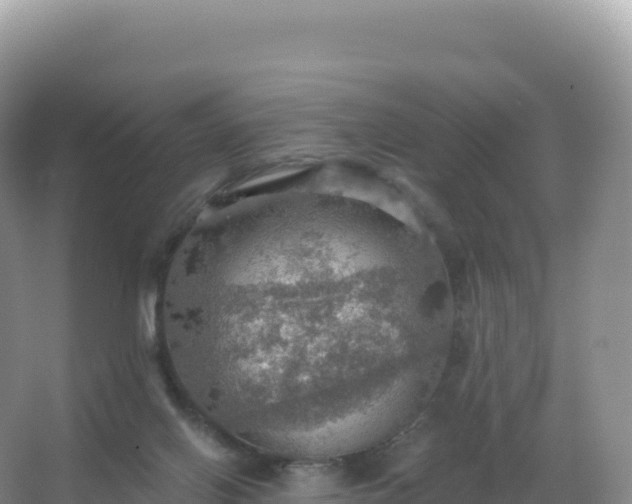 X0000067470070200604150001