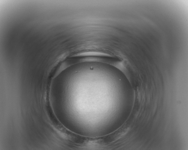 X0000067470072200604150001