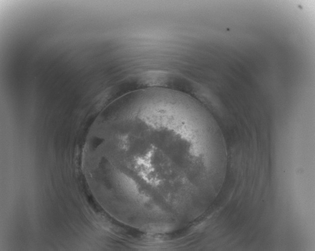 X0000067470073200604150001