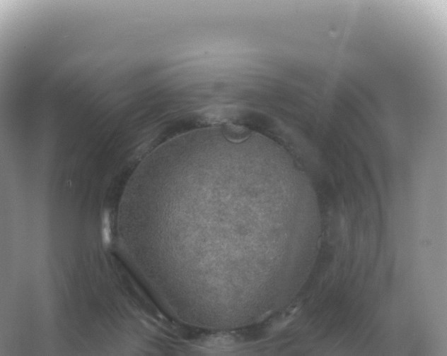 X0000067470075200604150001