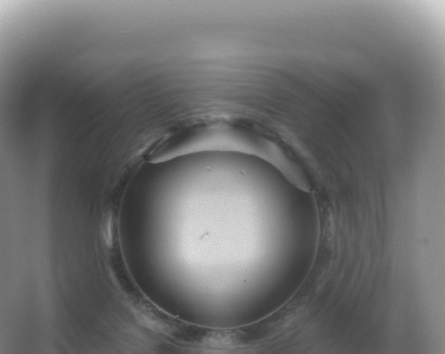 X0000067470076200604150001