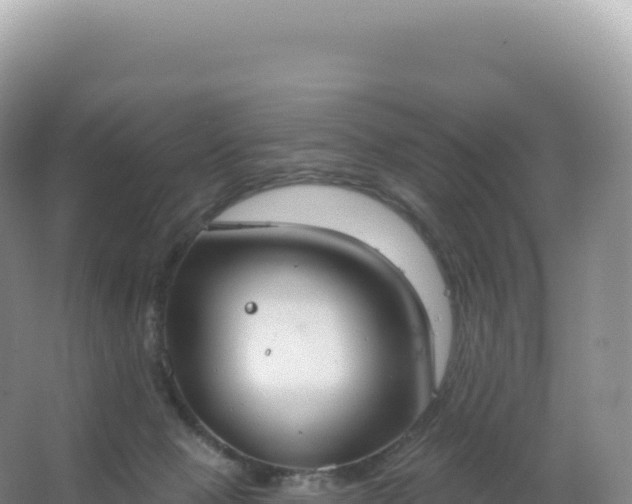 X0000067470077200604150001