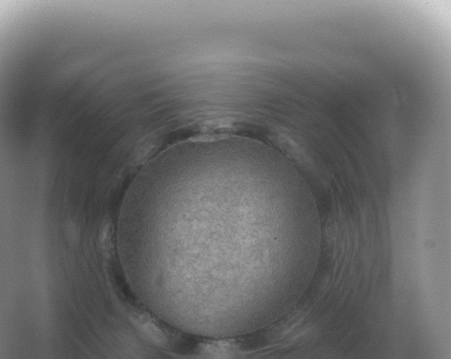 X0000067470079200604150001